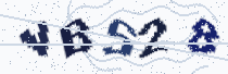 Security image showing five characters