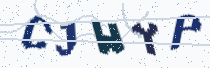 Security image showing five characters